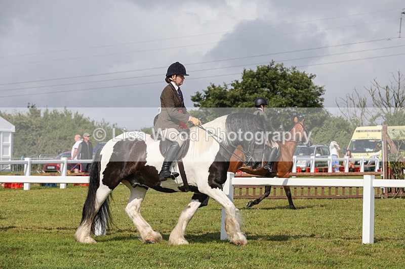 1X9A3449 - Skewbald and Piebald Ridden Championship