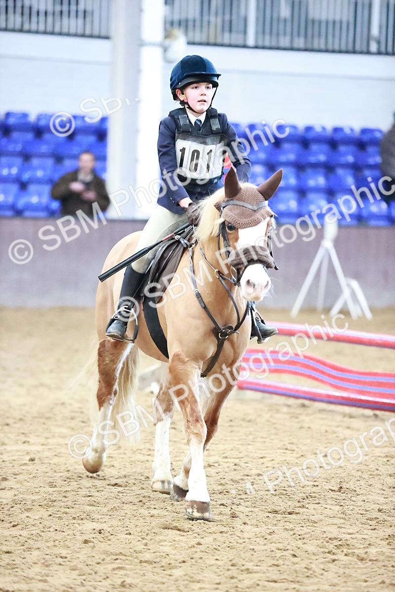 SBM_000539 - Class 2 - 80cm