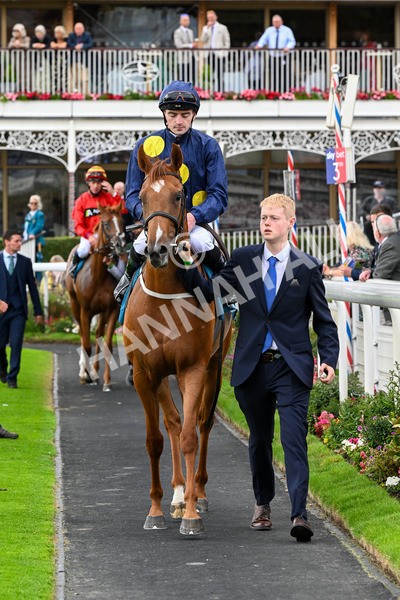 260725-Race 1-Golden Palace-0230 - Race 1 1.25pm £100K ITV7 Jackpot Today EBF Fillies' Novice Stakes