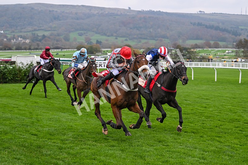 151124-Race 4-Sweet David-8234 - Race 4