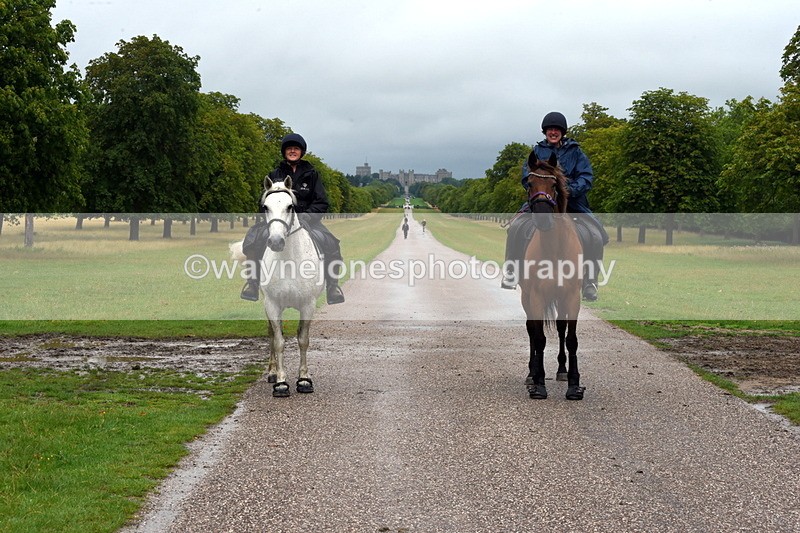 TT3_8761 - Time at Crossing 12:55 to 15:02