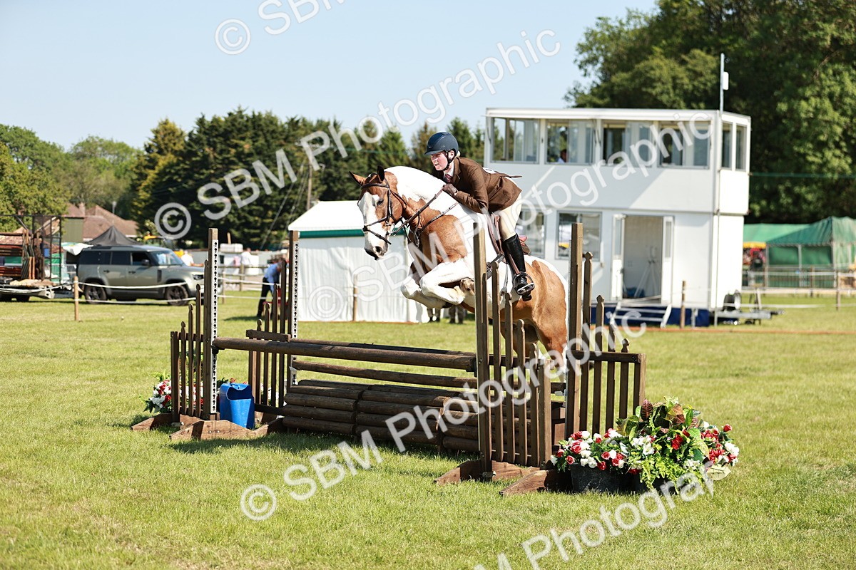 SBM_18789 - Class 114 - RIHS & SEIB Open Working Show Horse