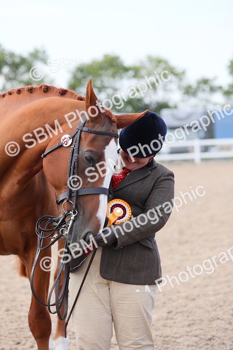 SBM_15860 - Class 312 IH Competition Horse/Pony
