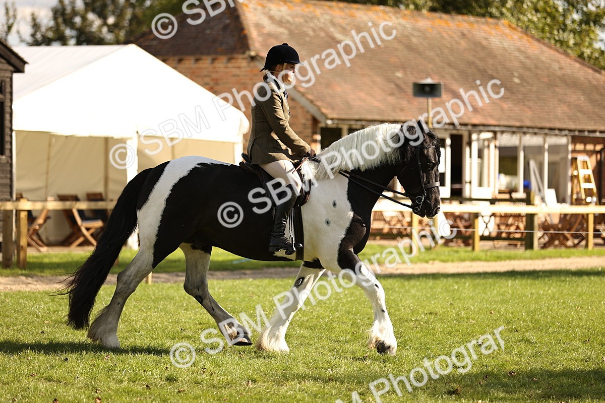 SBM_26424 - S6 - Novice & Newcomers Ridden Horse