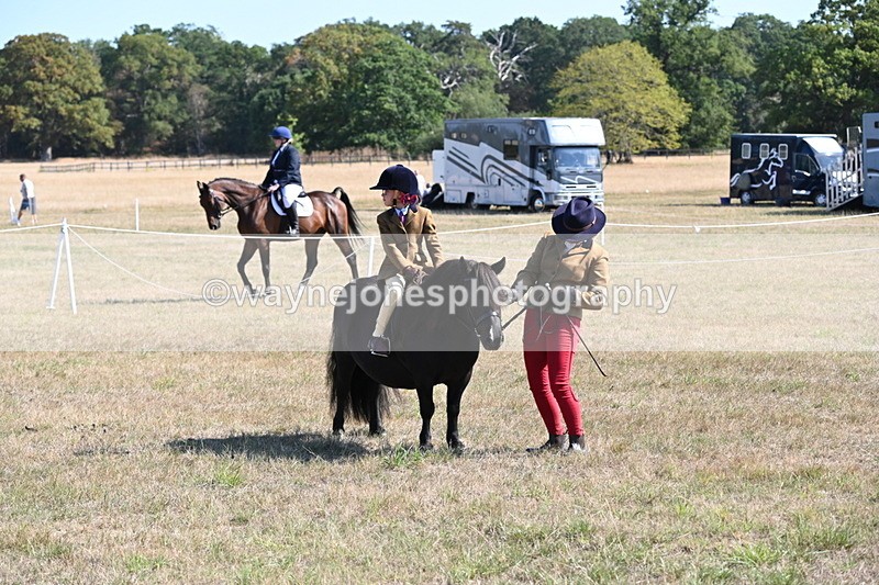 WJ6_7564 - Class 34 Judges Choice