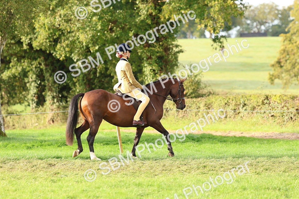 SBM_56541 - S40 - Starters Ridden Showing