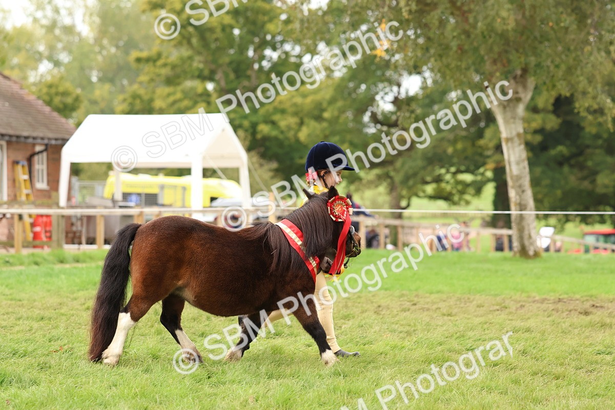 SBM_59816 - Start Supreme Championship