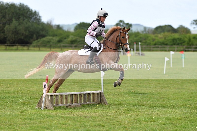 WJ5_2507 - Class 2 40cm