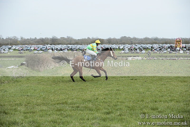 PtP 230319 48 - VWH Hunt Siddington Point-to-Point Racing 23/03/19