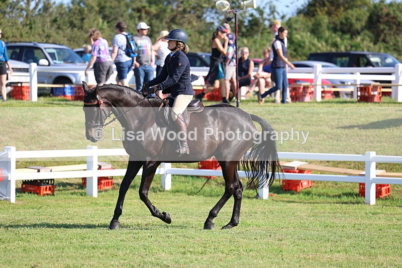 3E7A5606 - Class 2: Rising Star Large Hack/Riding Horse