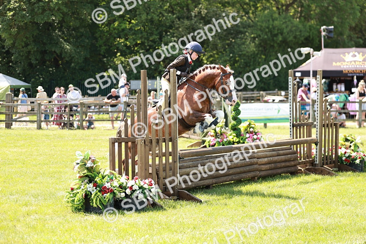 SBM_15592 - Class 108-109 - BSPS LIHS Open Gradle & Nursery Stakes
