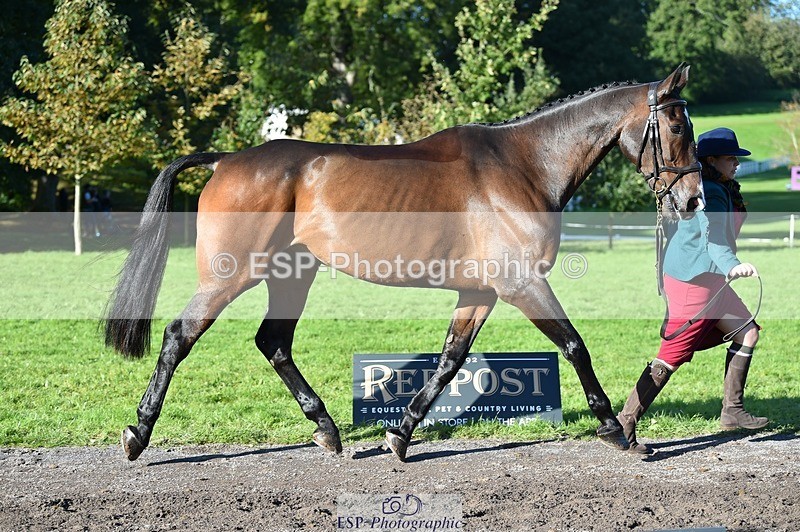 231022-110004-23653 - 404-ATLANTIC.COAST-Nicky.Ralph-TrotUp+SJ