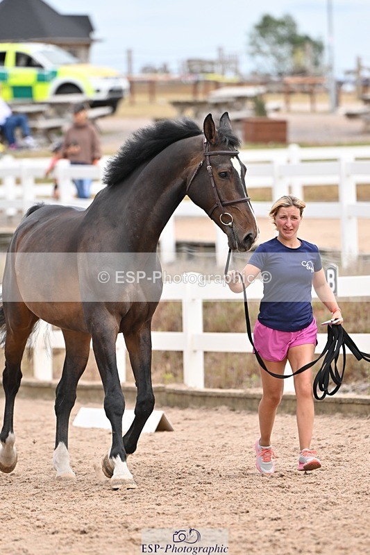 250716-153006-01967 - Trot Up 3.30 to 4.30