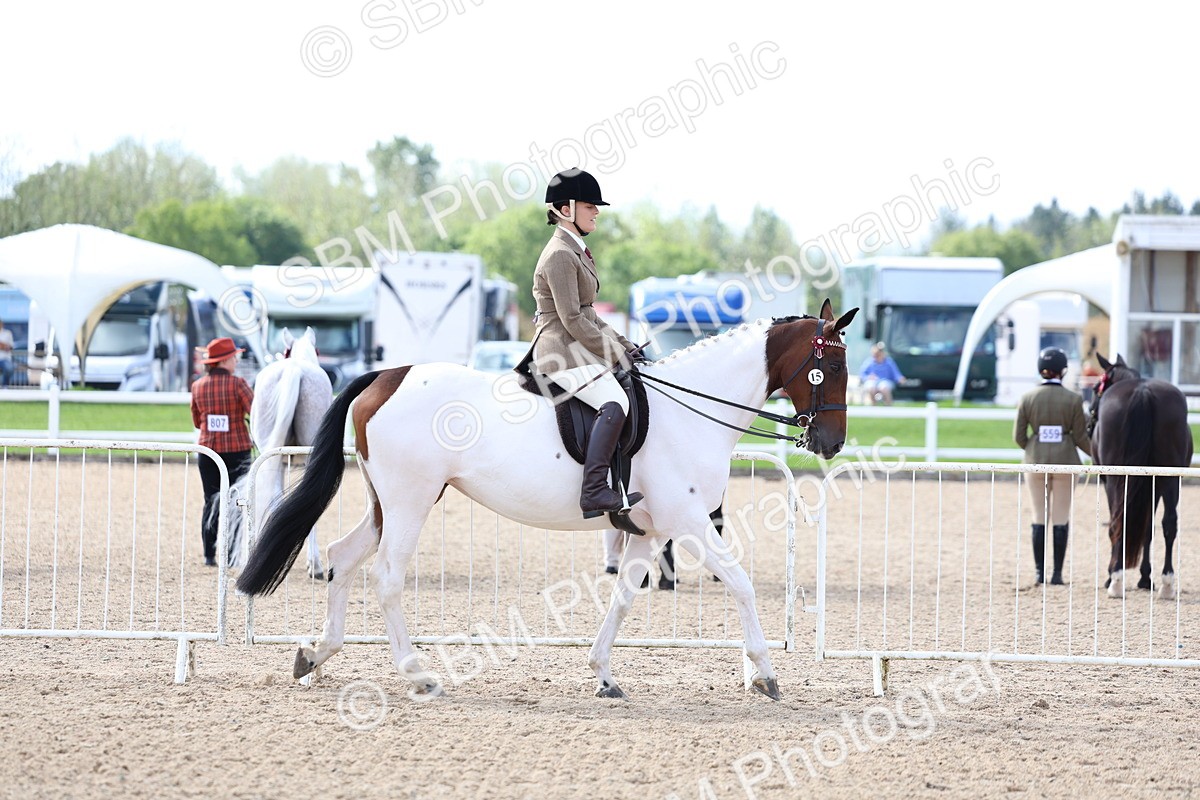 SBM_12015 - Class 308 - Ridden Coloured Horse