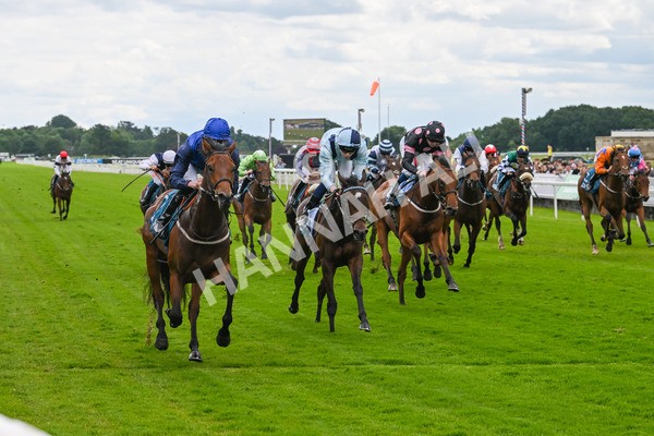 140624-Race 2-Inconspicuous-3977 - Race 2 2.25pm CGE Yorkshire Rous Selling Stakes