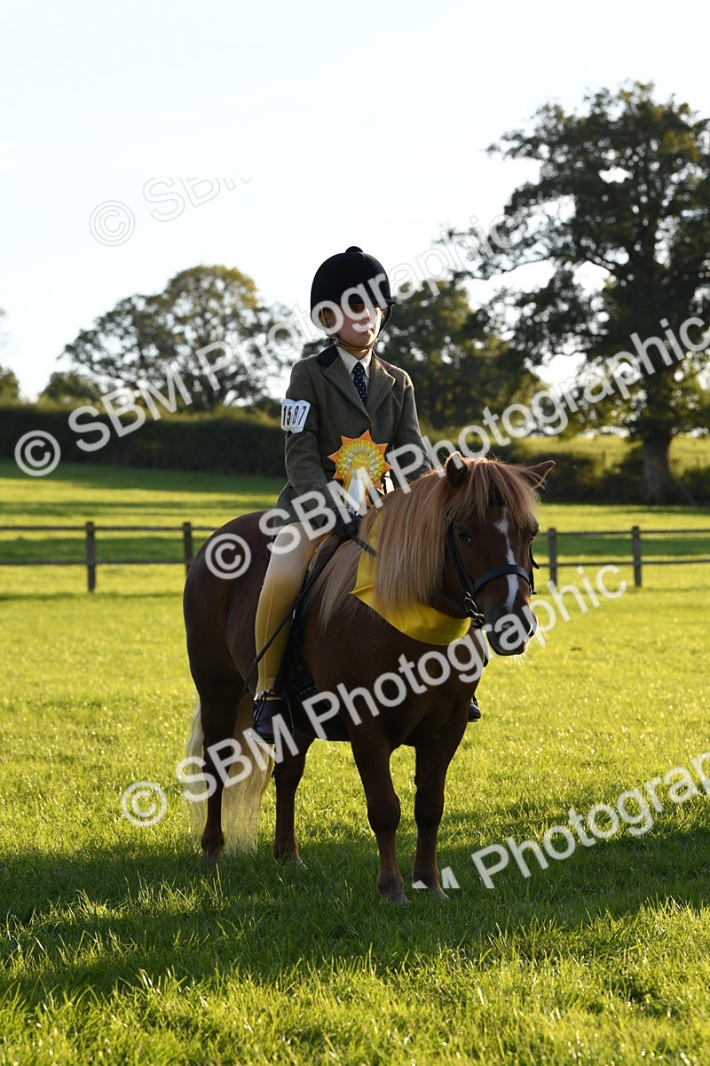 SBM_56445 - 1st Ridden Supreme Championship
