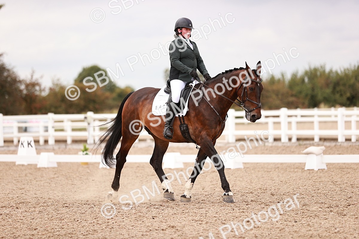 SBM_06380 - Class 37 - Novice 5