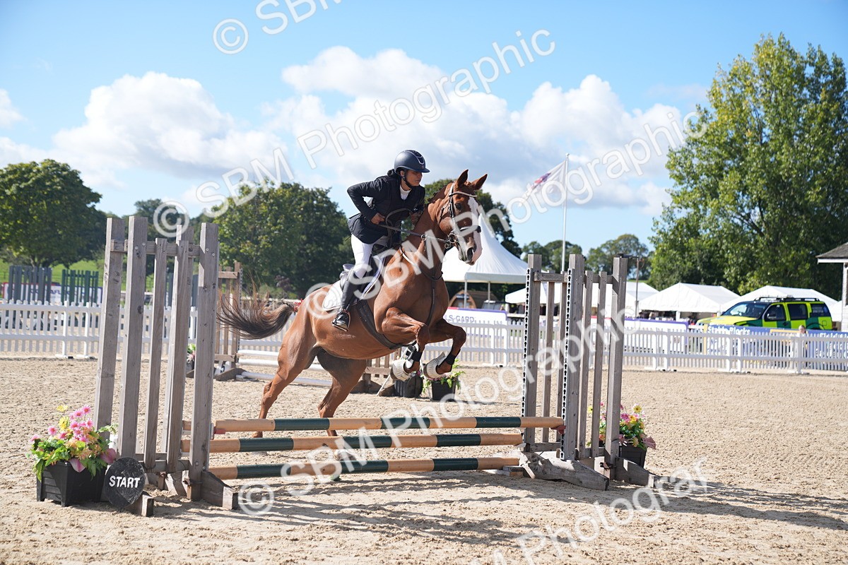 SBM_02423 - J54 Clear Round 45cm