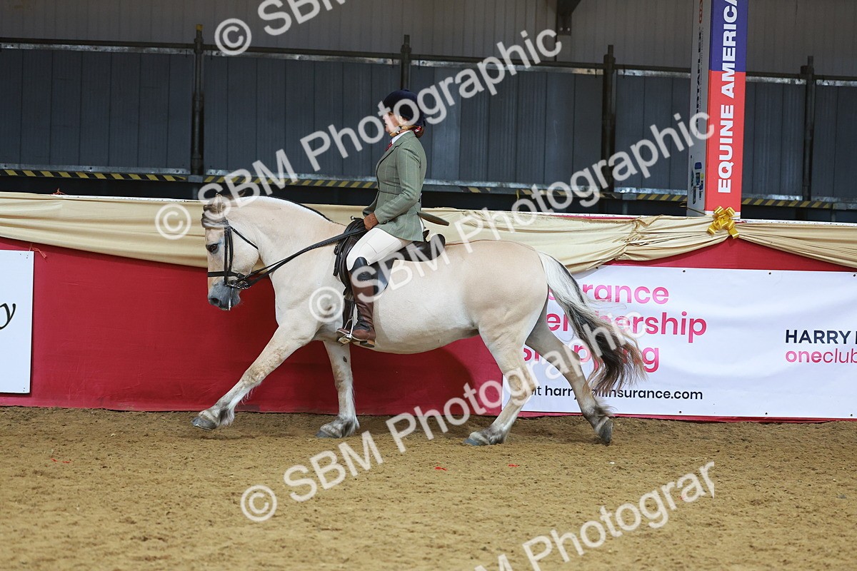 SBM_09446 - Class 102 - HOYS Veteran Qualifier - Ridden Veteran
