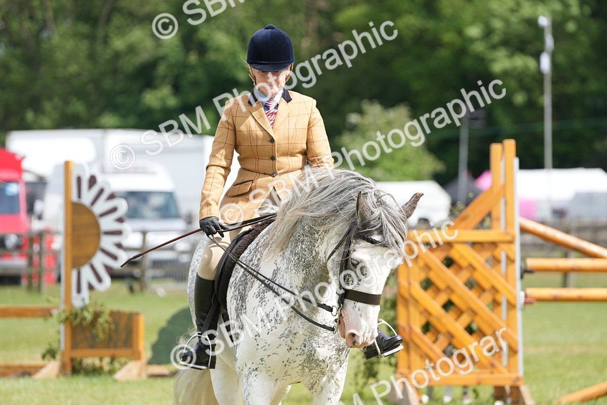 SBM_17265 - Class 107-108 - LIHS BSPS Performance Coloured Horse Pony