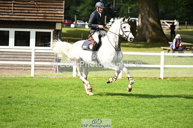 250615A-092117-09430 - Cls 35 Foxhunter