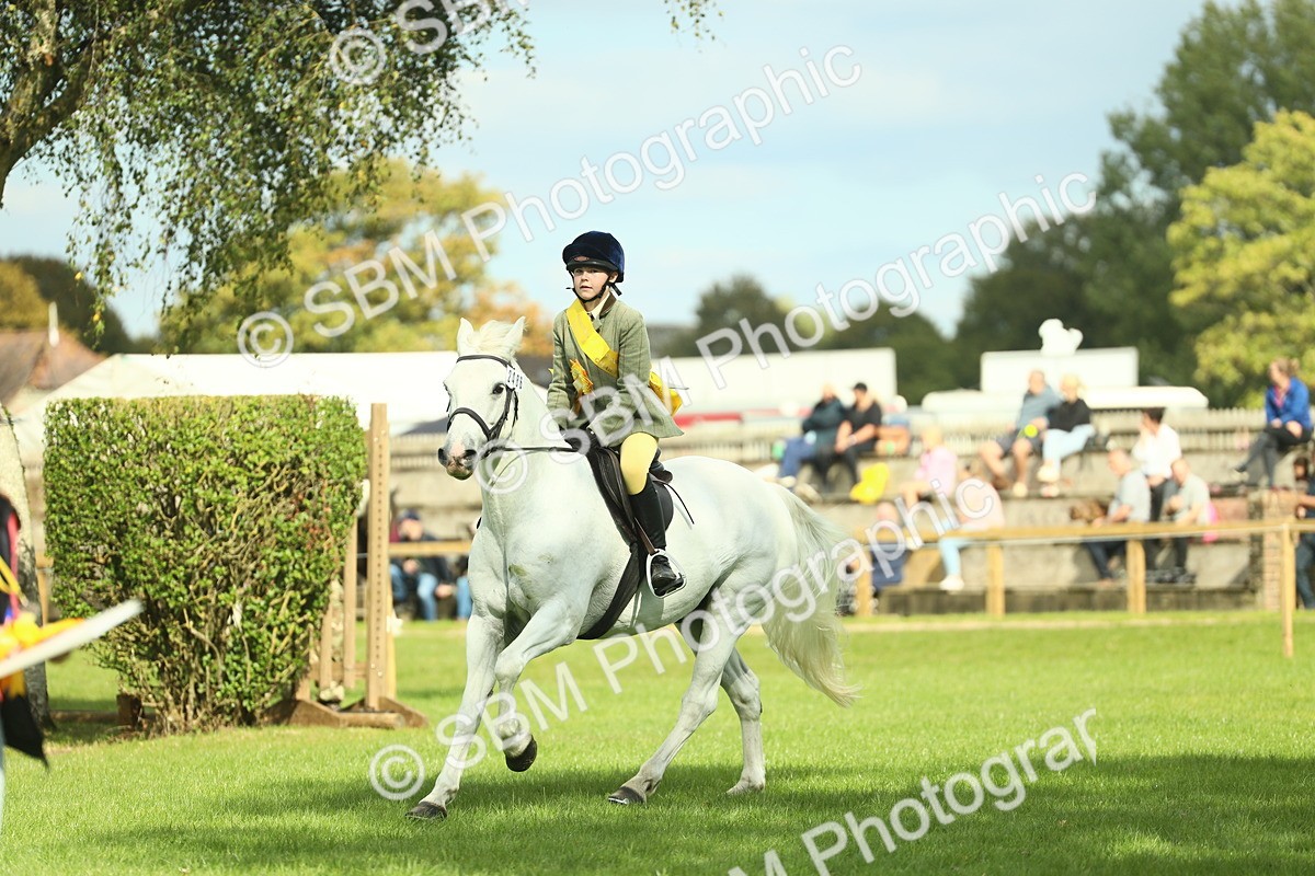 SBM_45042 - Working Hunter Pony Supreme Championship