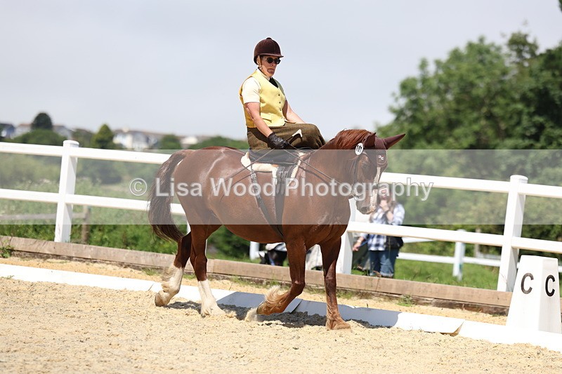 3E7A0904 - Class 3: Unaffiliated Prelim 3 2024 Section A