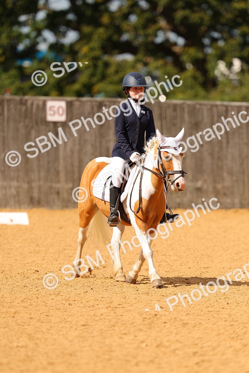 SBM_44106 - D22 - Junior Championship - Intro B