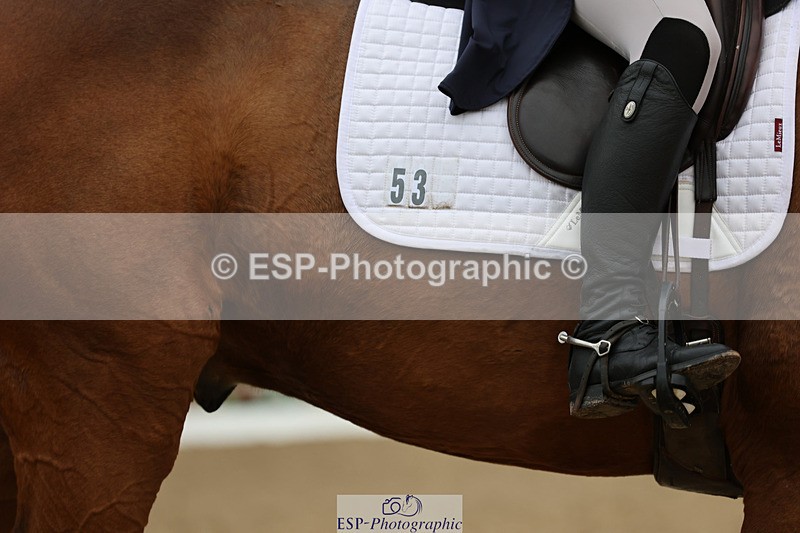 241024-114410-01901 - 053-Lois.Teal-Z7.CATASTROPHE