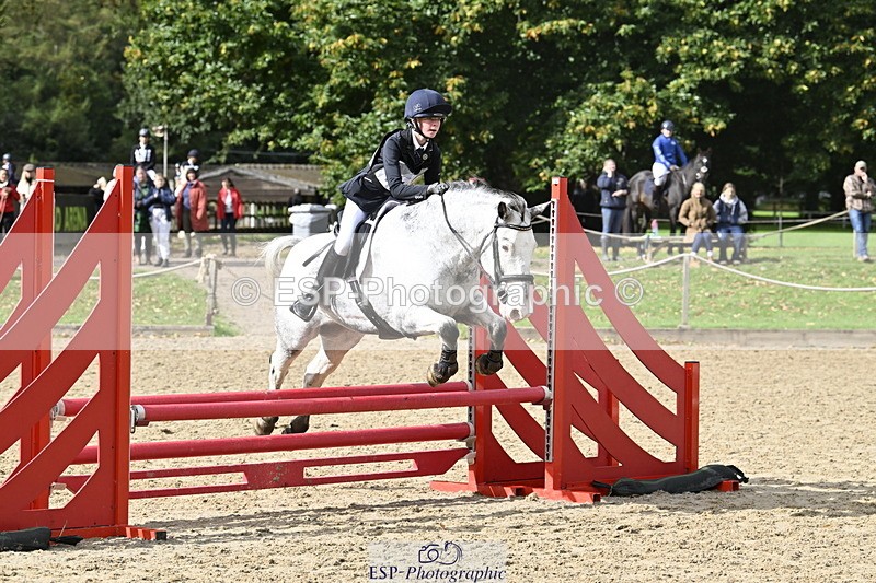 251005A-121027-03635 - Cls 08 Mini 70-75cm