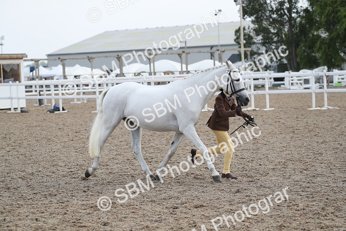 SBM_23135 - Class 605 - 2025 Area - IH Veteran