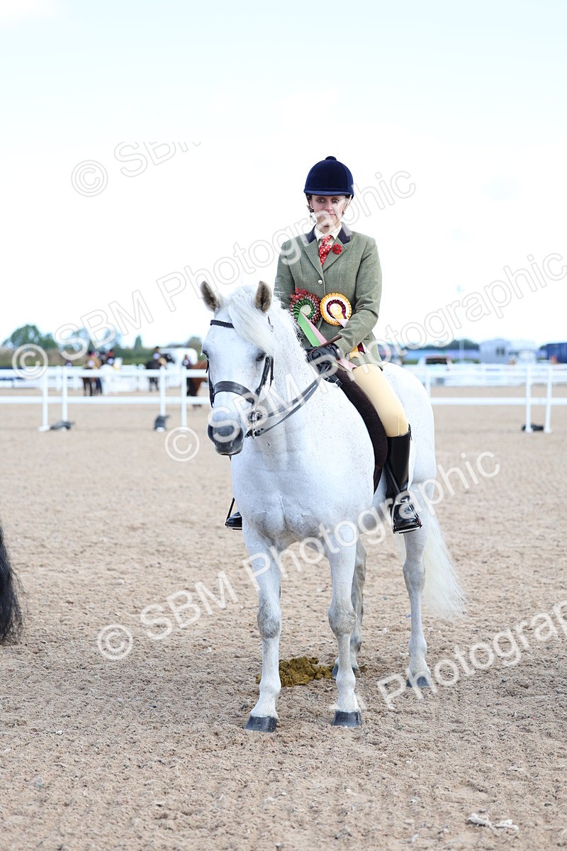 SBM_08970 - Class 302 - Ridden M&M - Large Breeds