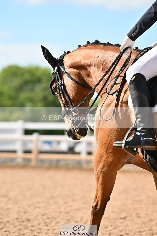 240622A-174056-15379 - Cls 7B+C Elementary 44 RoR