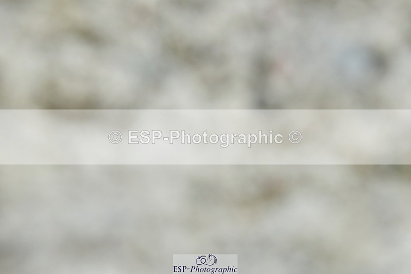 230623-113156-00475 - Cls 3 Novice 23 Start to 11.55 break