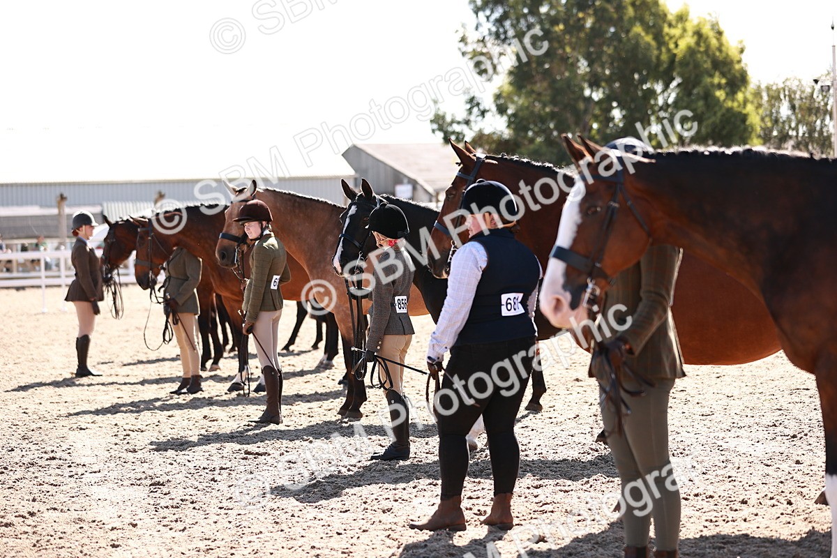 SBM_13331 - class 406 - IH Hunter