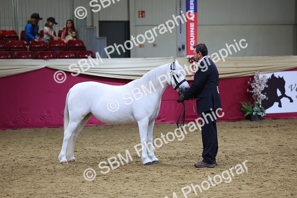 SBM_18654 - Class C Best Turned Out Champ