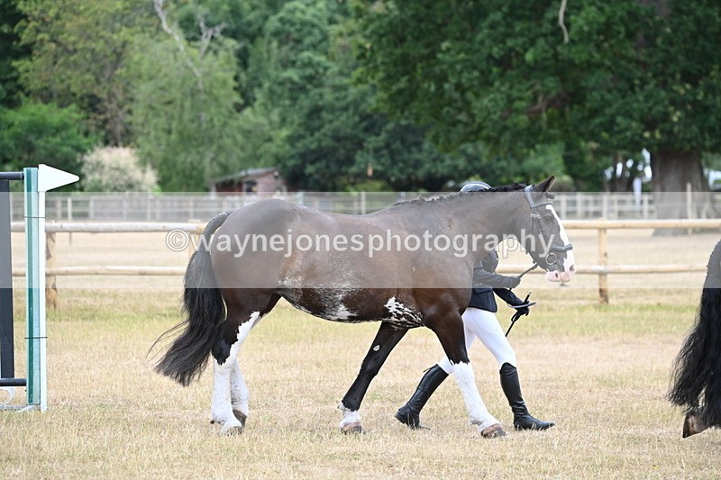 WJ6_7844 - Class 10 Coloured in Hand