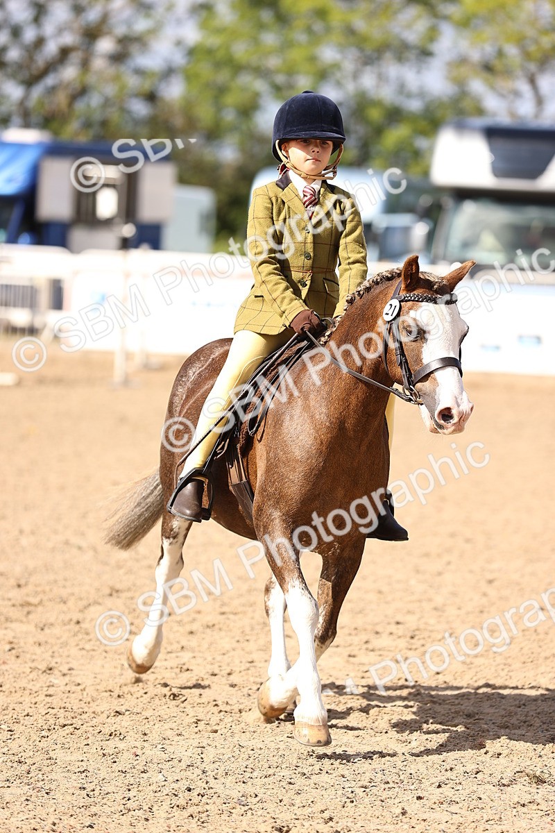 SBM_11619 - Class 408 - Grassroots Ridden - Walk & Trot