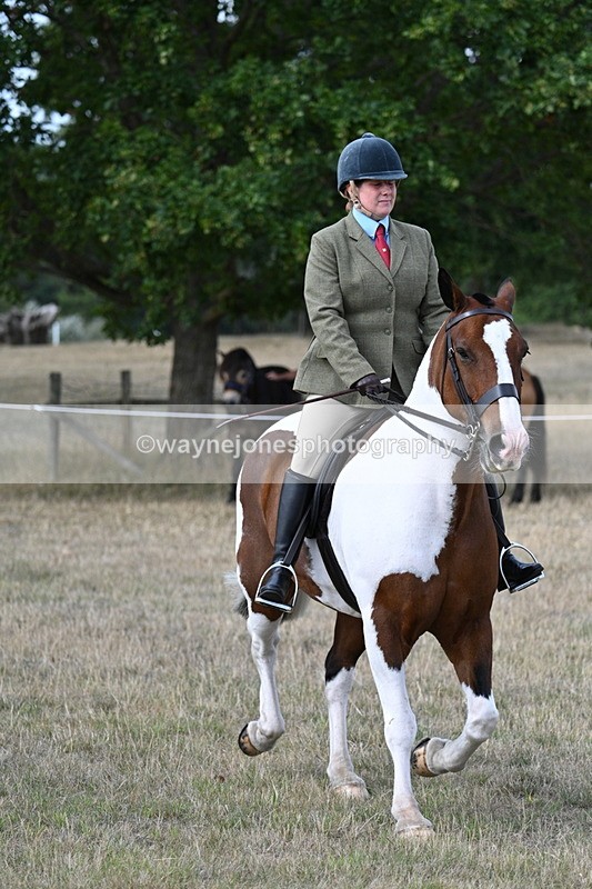 WJ7_7134 - Class 14 Ridden Coloured