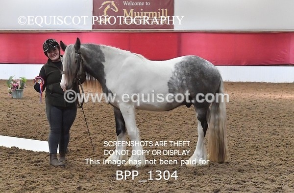 BPP_1304 - MORNING 9AM - 12PM