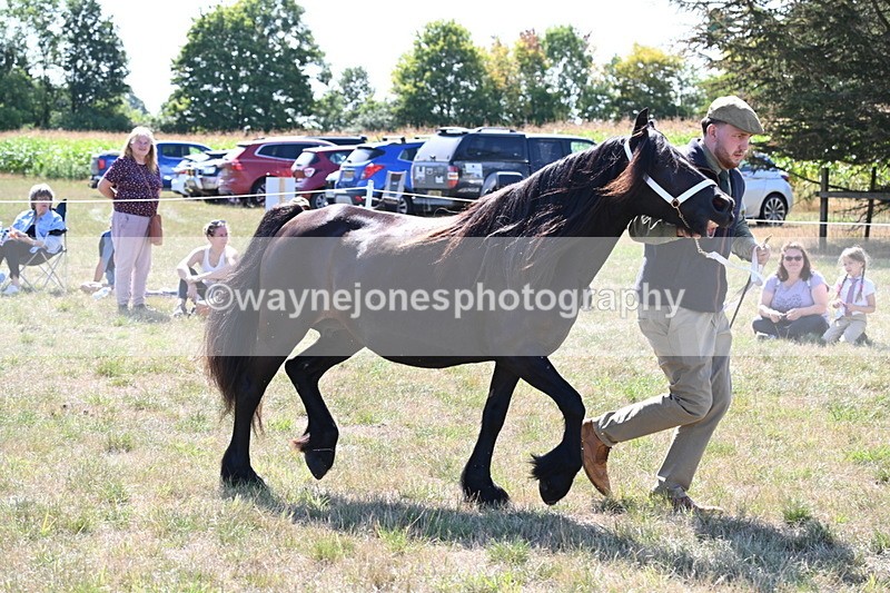 WJ6_4780 - Class 17 Mountain & Moorland