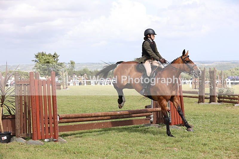 JPP_2064 - Class 19: Working Hunter 60cm