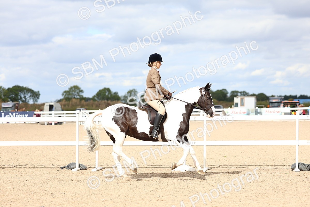 SBM_15785