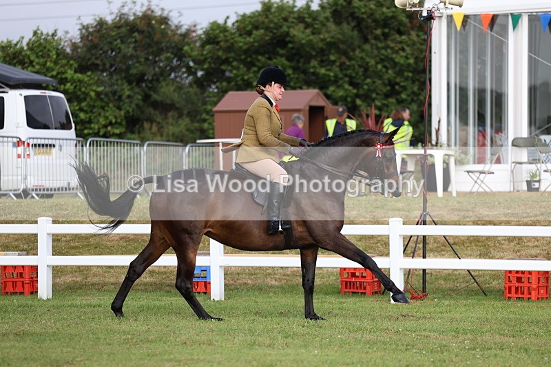 3E7A7837 - Class 1: Rising Star Small Hack/Riding Horses