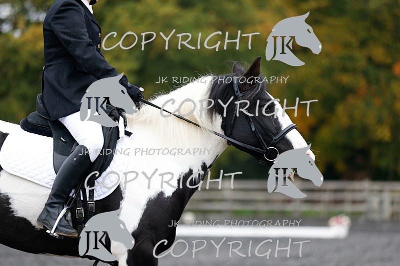 _R6A1368 - Intro 4