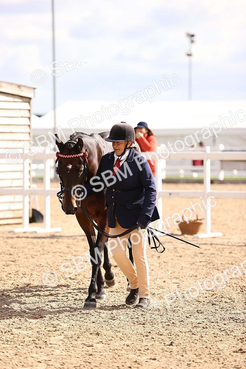 SBM_11527 - Class 407 - IH Hack-Riding Horse
