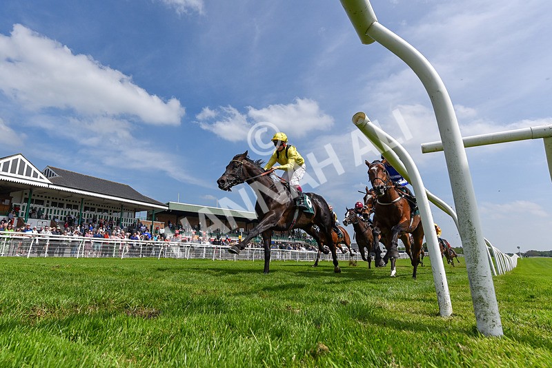 130524-Race 2-Monfrid-5269 - Race 2