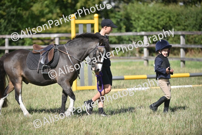 20260906-1429 - Class 8 - Hoof and Foot