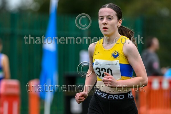 WestRLY25-923585 - Young Female Set Two