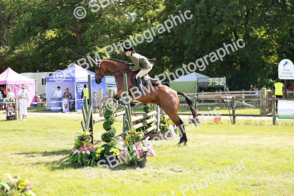 SBM_18833 - Class 114 - RIHS & SEIB Open Working Show Horse